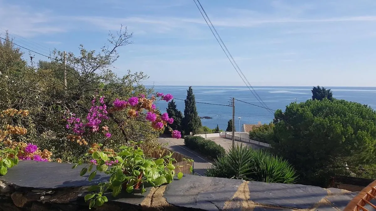 Llança Balcony With Sea View 아파트